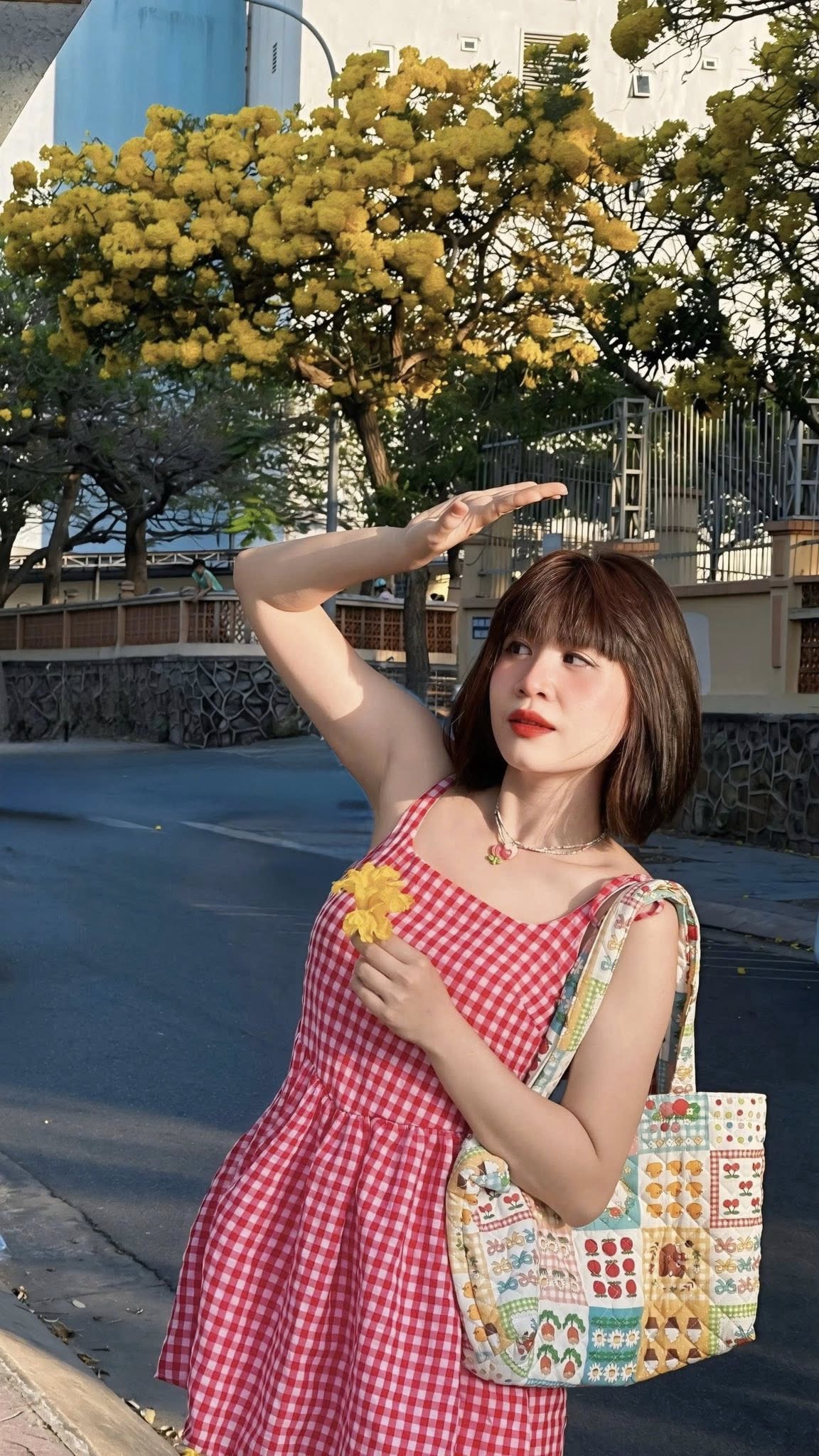 mùa kèn vàng Vũng Tàu