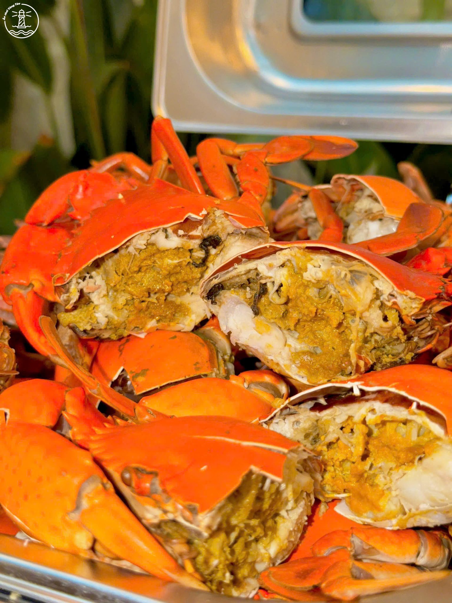 quán ăn gần biển Vũng Tàu