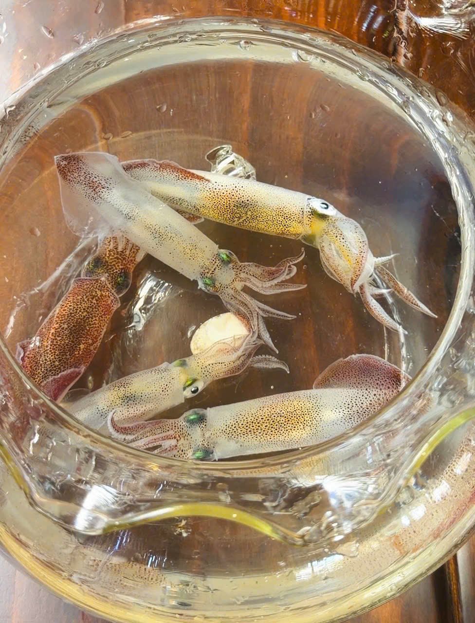 quán ăn gần biển Vũng Tàu