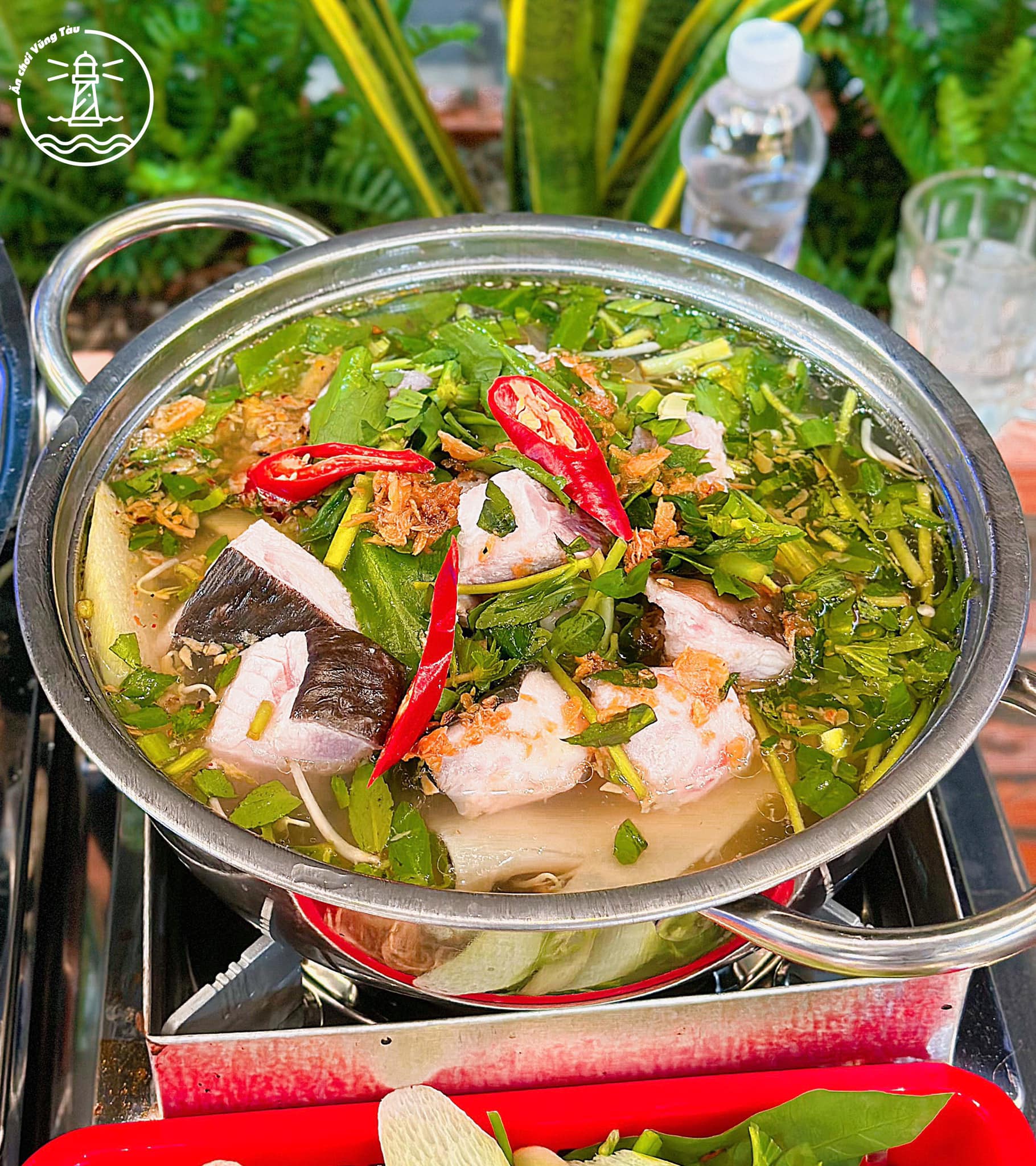 list lẩu cá đuối Vũng Tàu