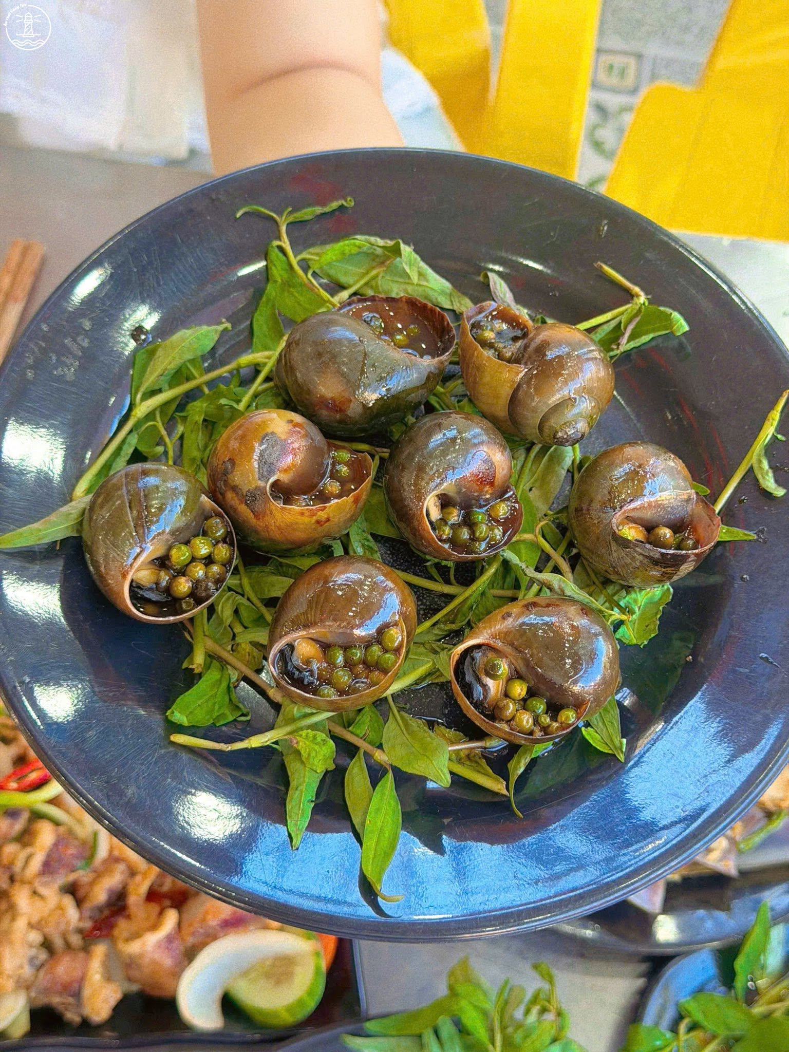 quán ốc ngon rẻ Vũng Tàu