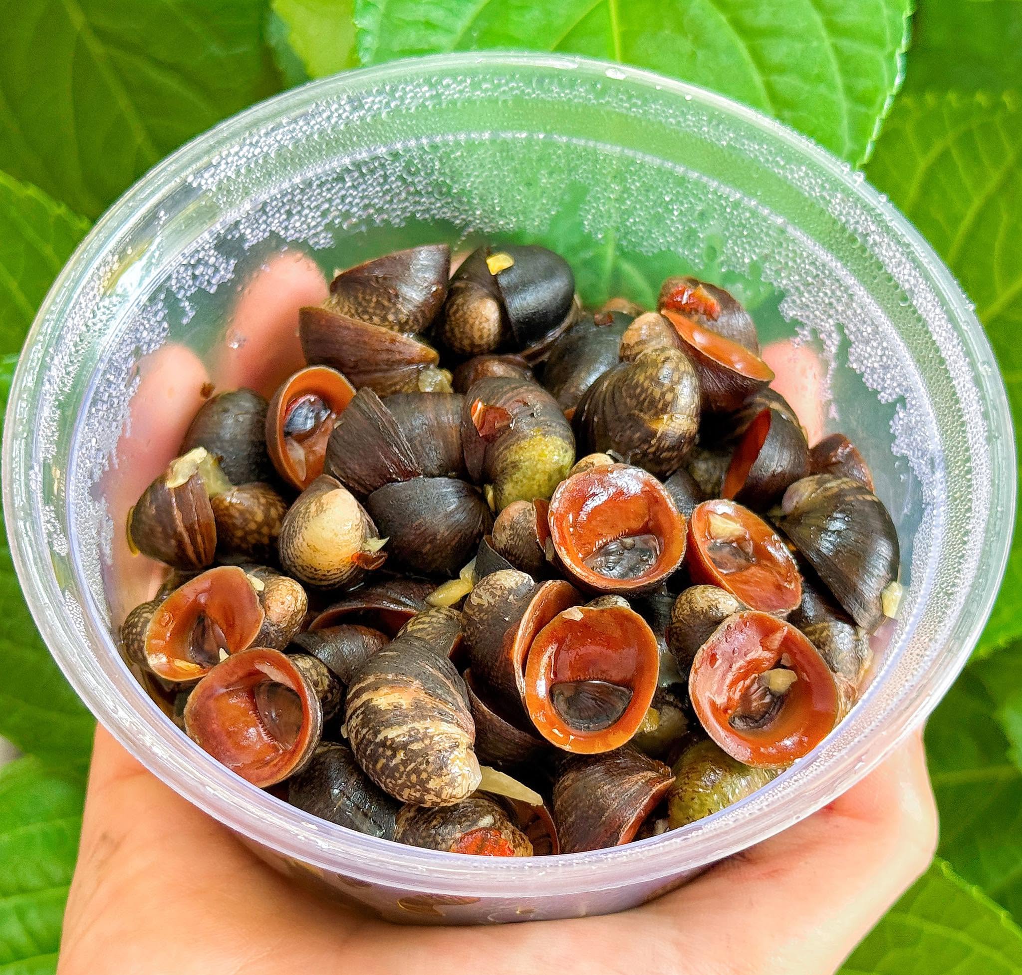 quán ốc ngon rẻ Vũng Tàu