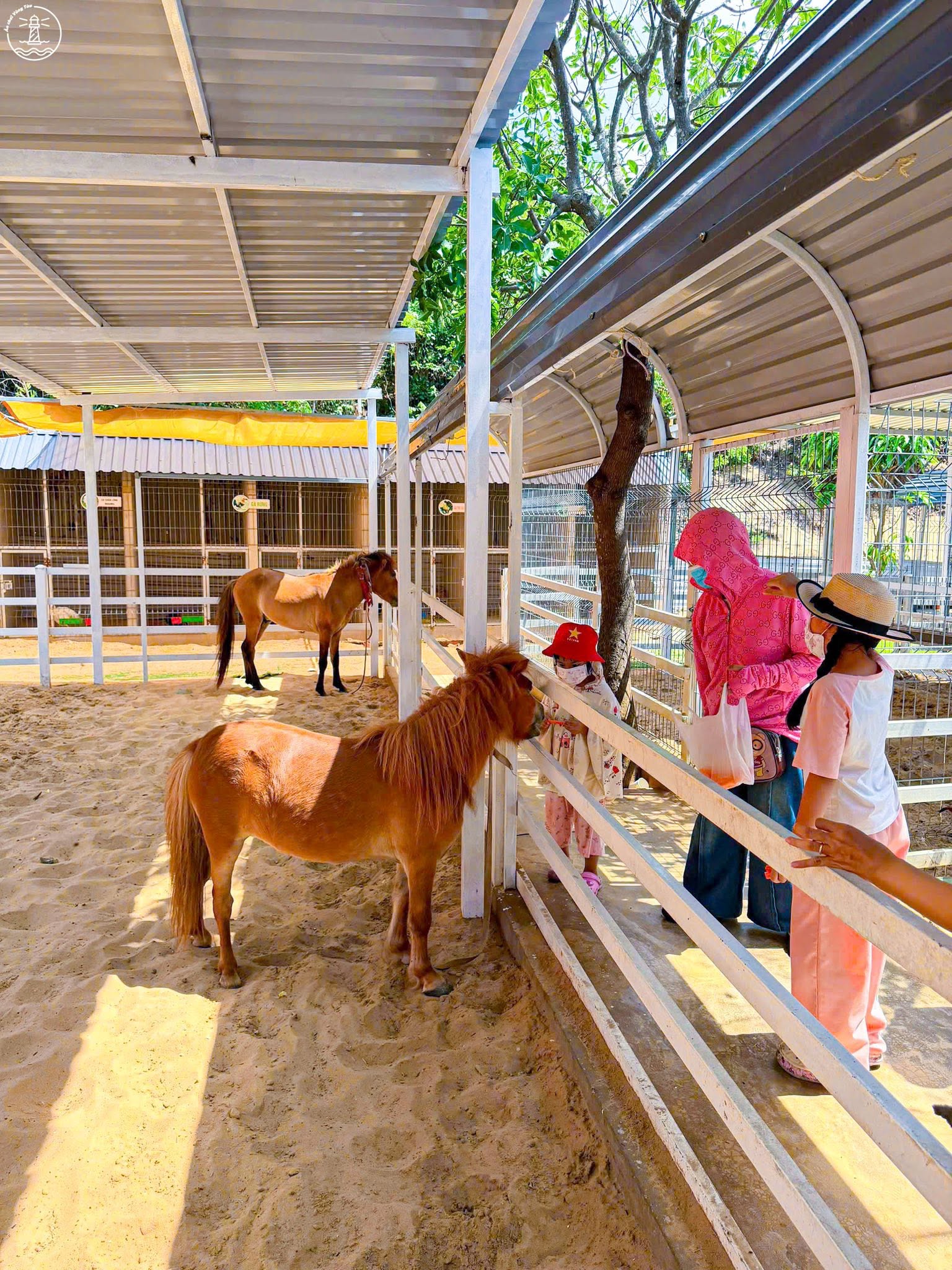 Gozoo Farm Vũng Tàu