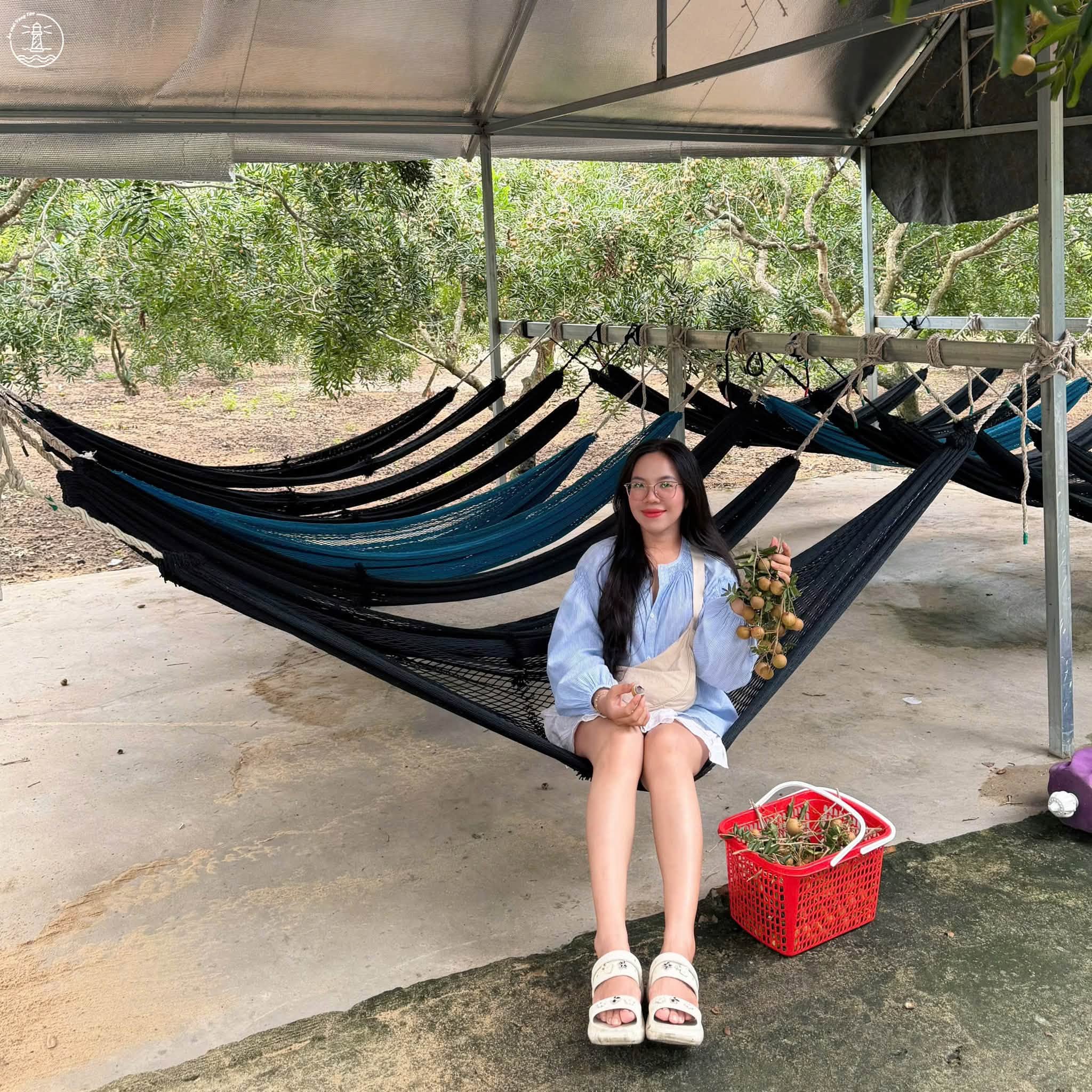 vườn nhãn Bác Thẩm tại Lộc An