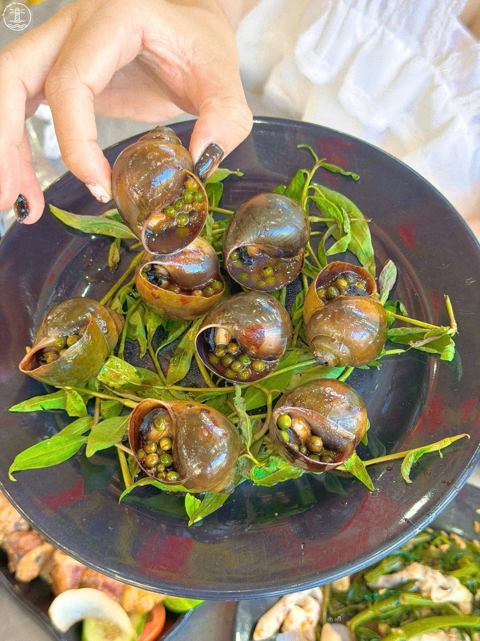Ốc ngon đáng thử Vũng Tàu