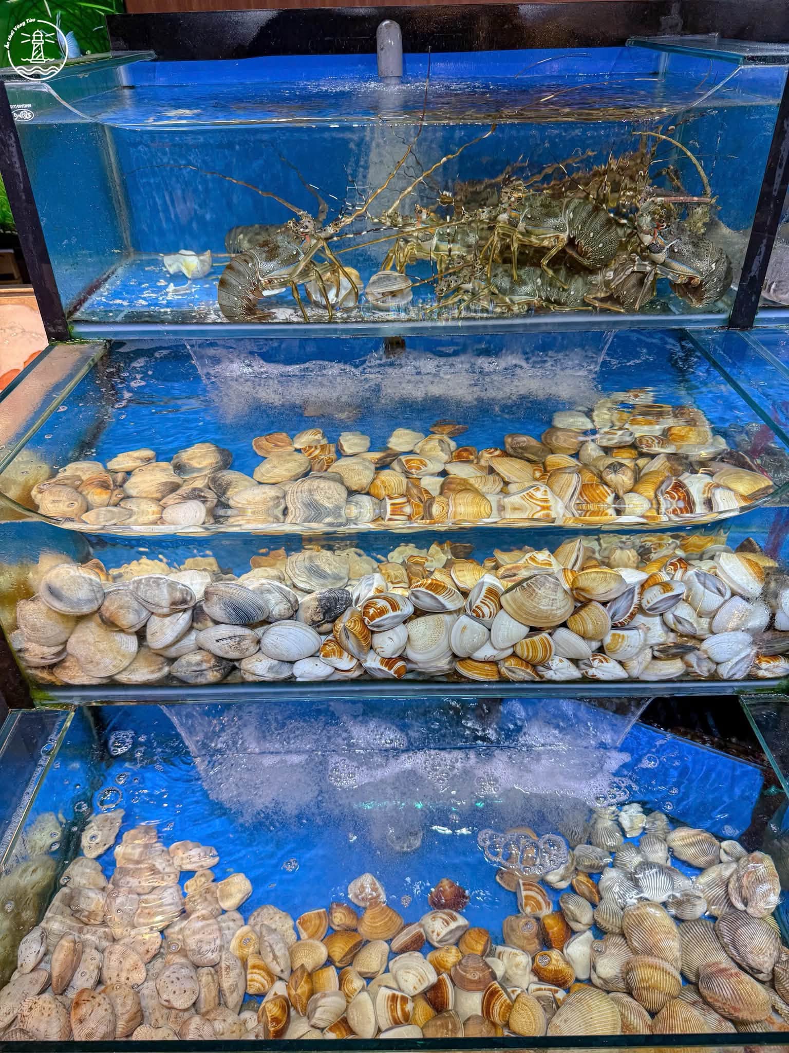 Ốc ngon đáng thử Vũng Tàu