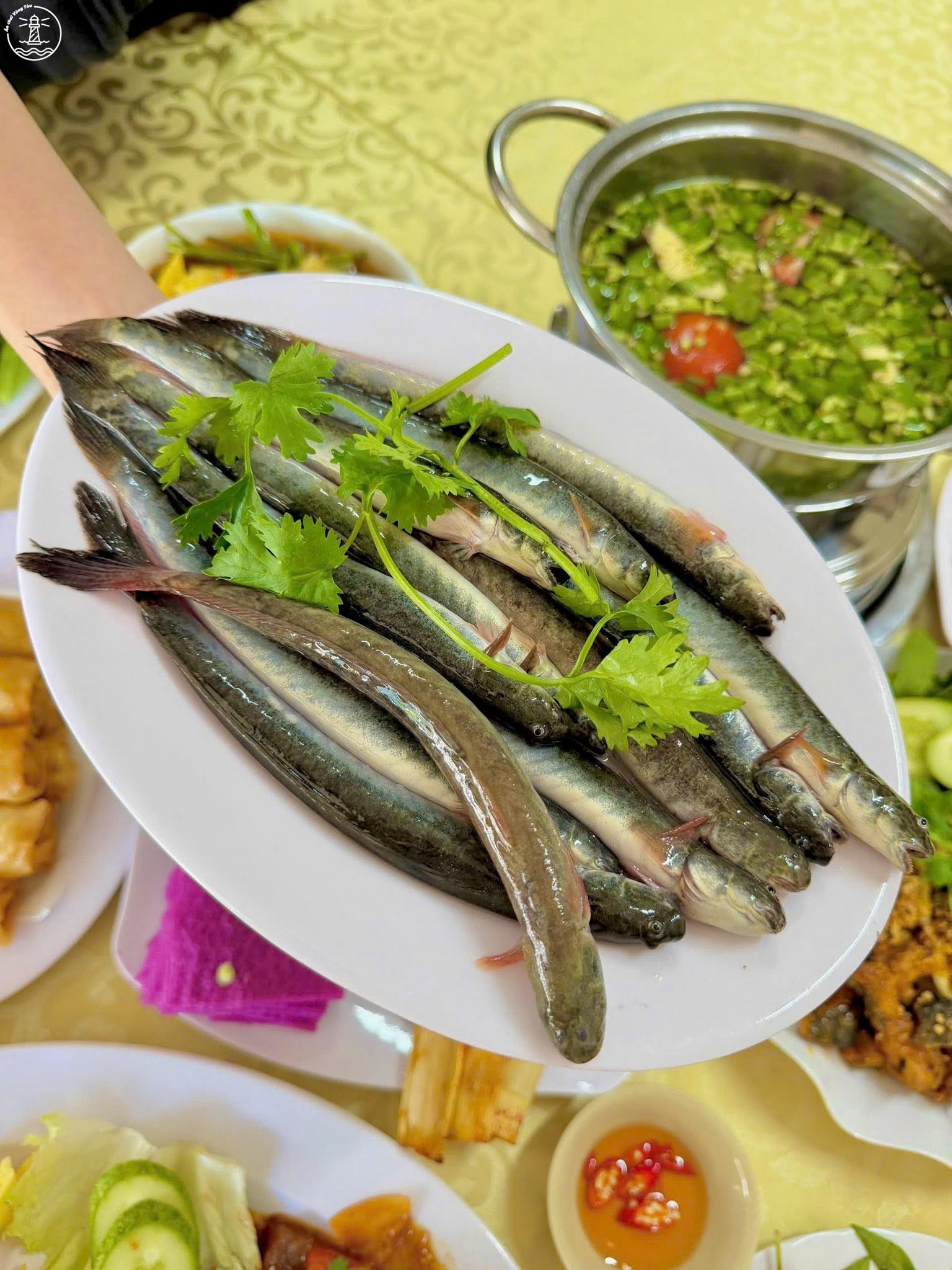 quán lẩu vũng tàu 