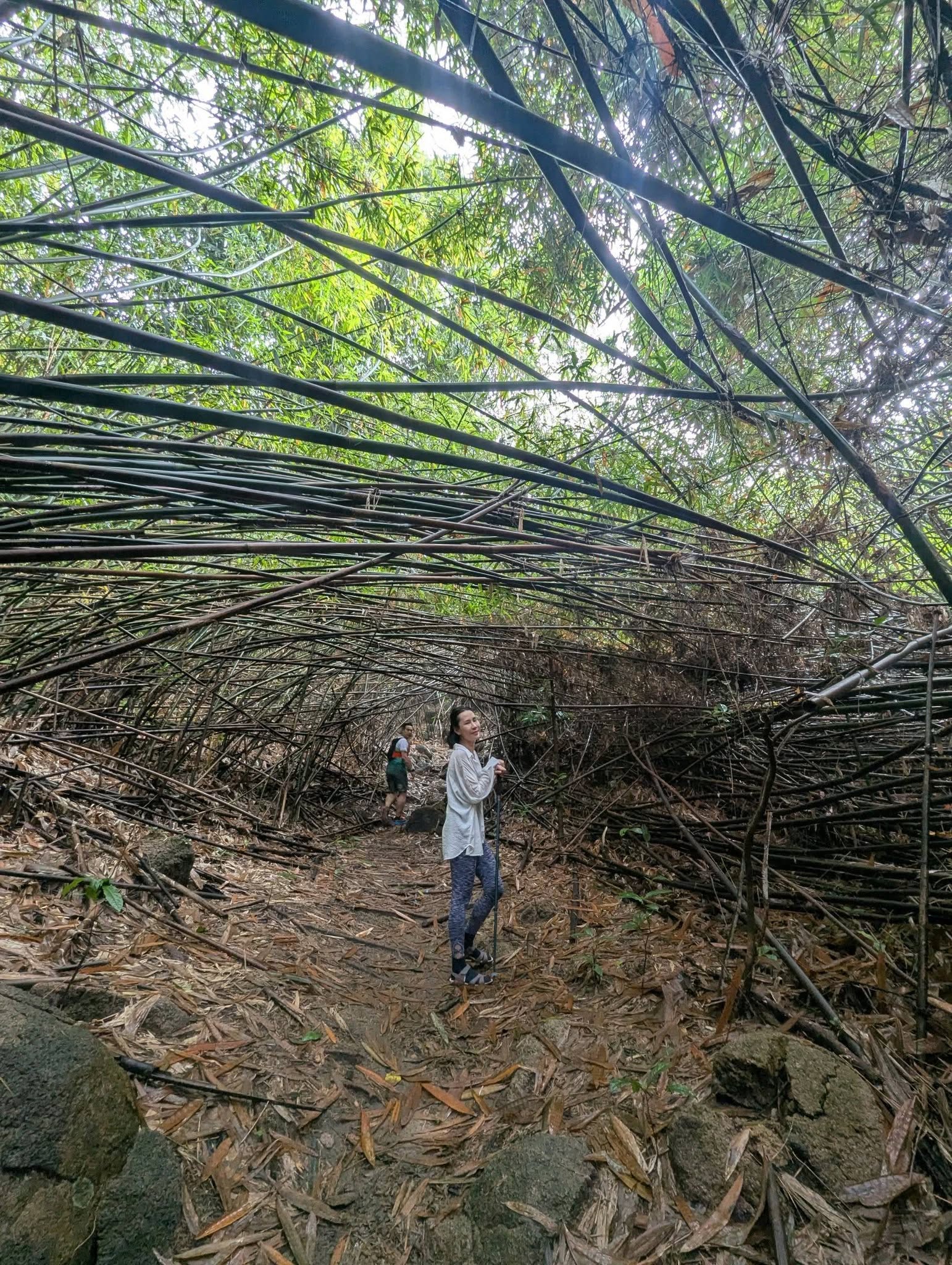 Trekking núi Dinh