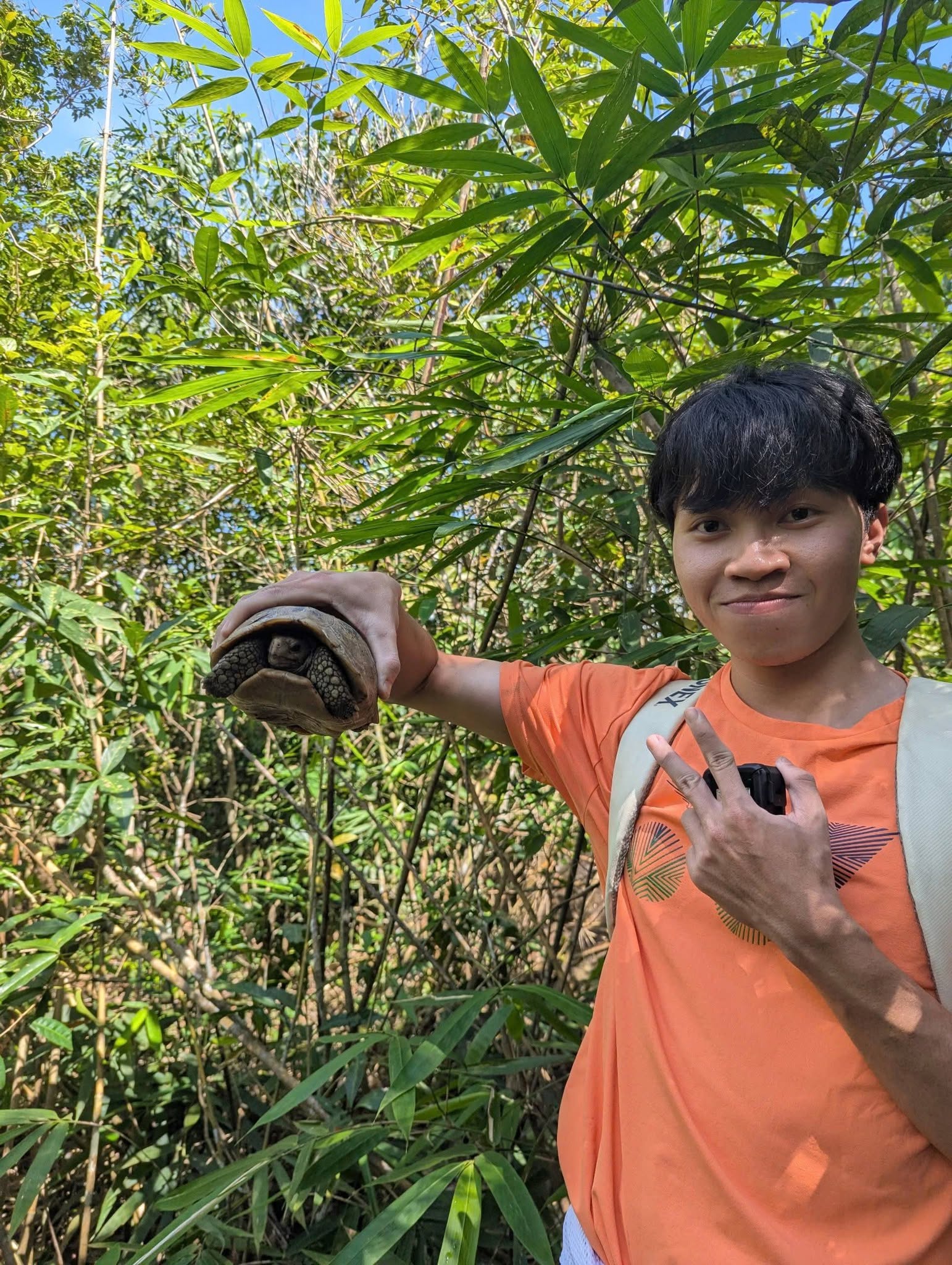 Trekking núi Dinh